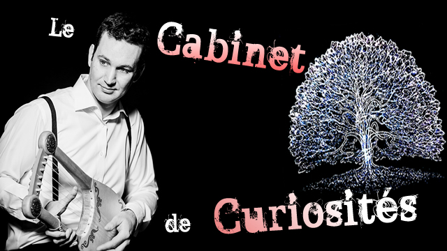 Cabinet de curiosité de Guillaume LOUIS